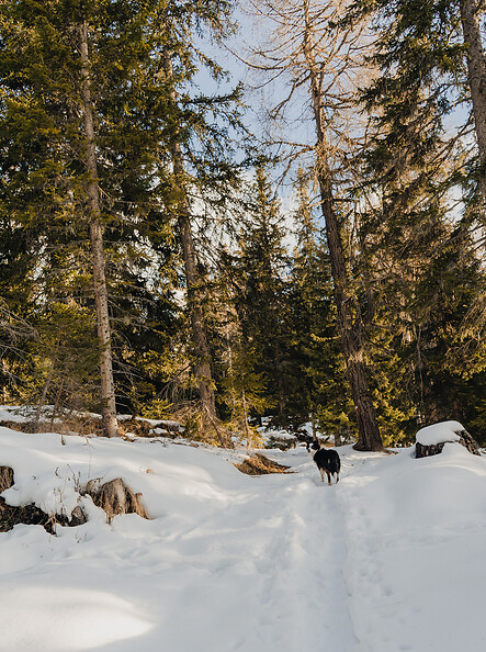 Randonnée hivernale à l'alpage d'Eggergrub