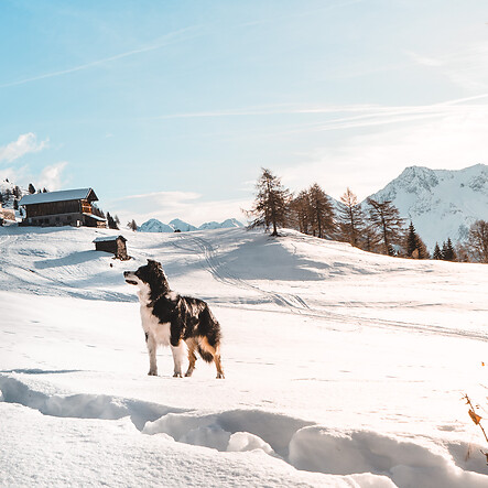 Randonnée hivernale à l'alpage d'Eggergrub