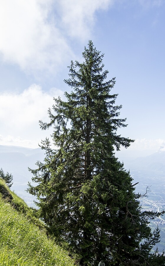 Vers les montagnes. Loin du quotidien.