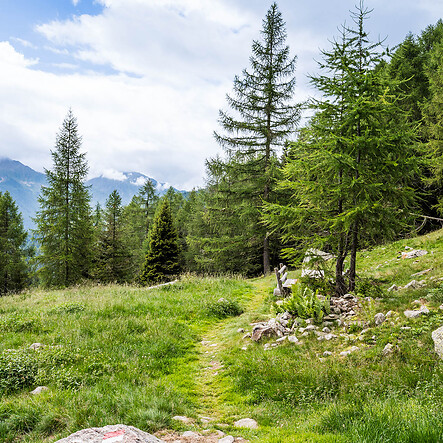 De Kofelrastermeren in het Ultental