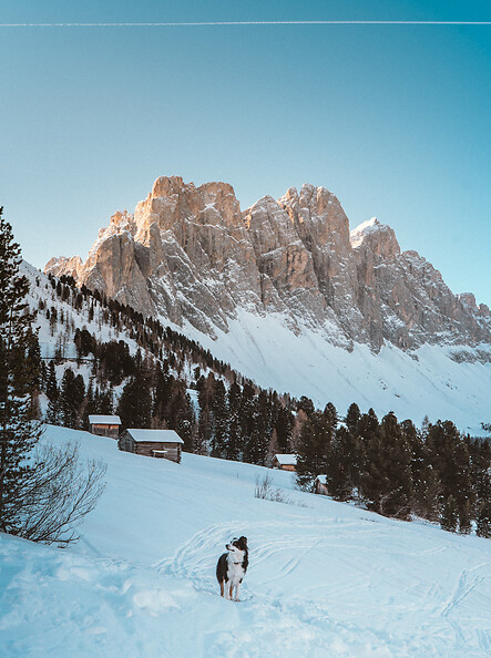 Sneeuwschoenwandeling naar Zendleser Kofel
