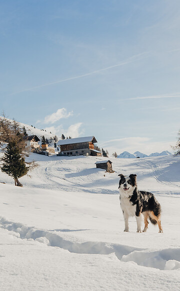 Escursione invernale alla malga Eggergrub