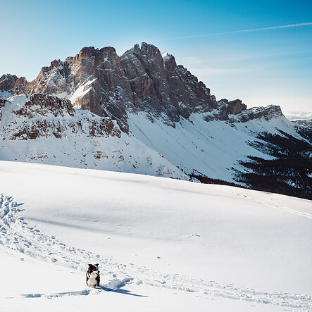 Snowshoe hike to the Zendleser Kofel
