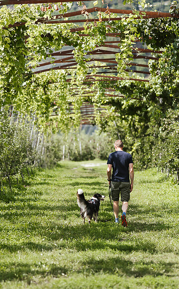 Merano Promenade loop