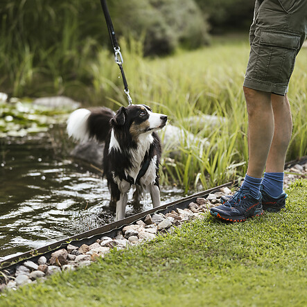 Our dog swimming pond and dog park