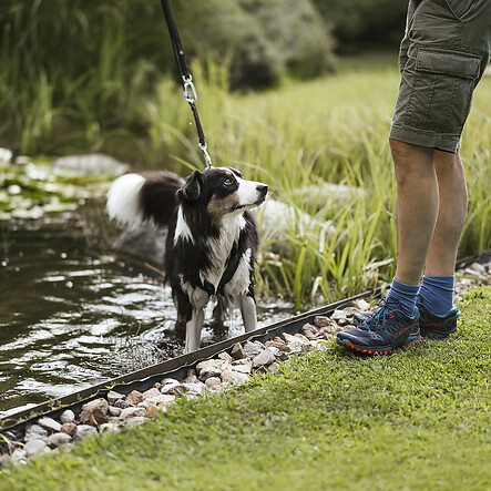 Unser Hundeschwimmteich und Hundeplatz