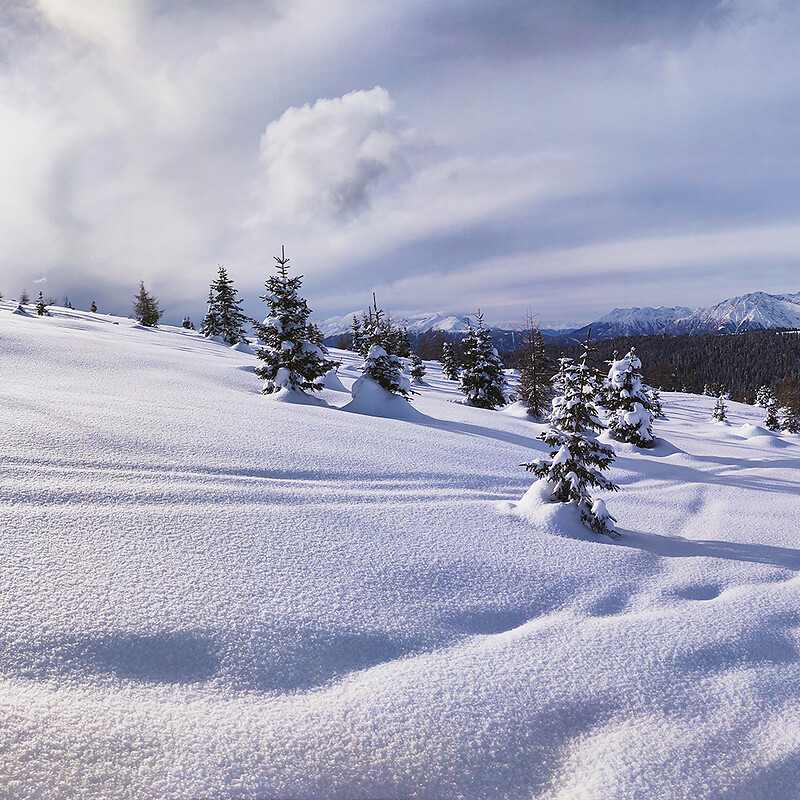 Winterwandern mit Weitblick