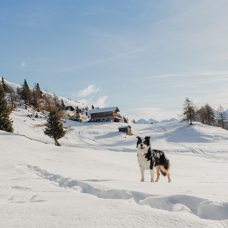 Winterwanderung zur Eggergrub Alm