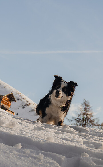 Winterwanderung zur Eggergrub Alm